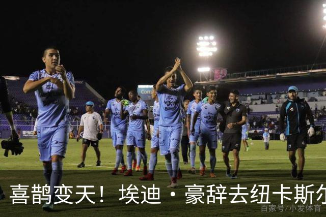 喜鹊变天！埃迪·豪辞去纽卡斯尔主帅，少帅雅伊斯勒或火速接棒